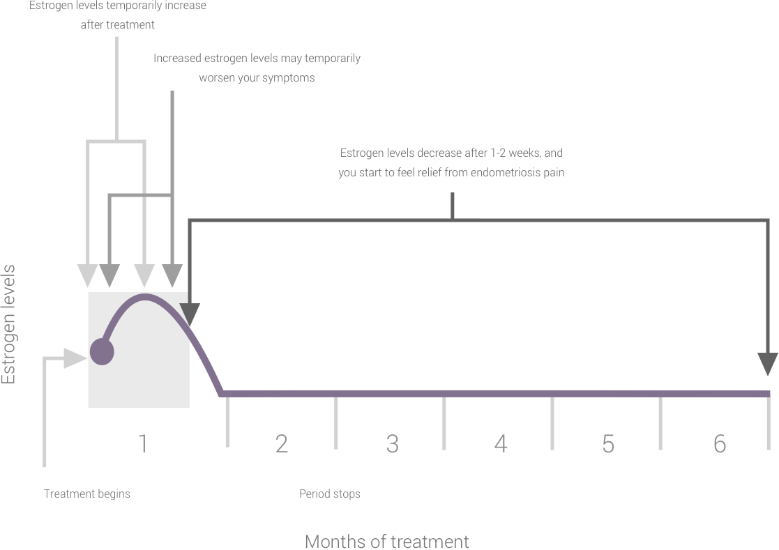 How do estrogen levels shift over a six-month period of LUPRON DEPOT therapy? When treatment begins in month 1, estrogen levels temporarily increase, which could lead to a temporary worsening of symptoms. From months 2-6 when the period stops, estrogen levels decrease after 1-2 weeks and you start to feel relief from endometriosis pain.